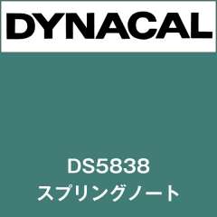 ダイナサイン　DS5838　スプリングノート