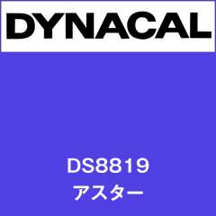 ダイナサイン　DS8819　アスター