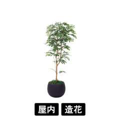 樹木プランター GR5072 H1700 トネリコ