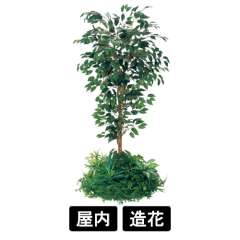 テーブル樹木 GR5140 H1500 530Ф フィカスベンジャミン