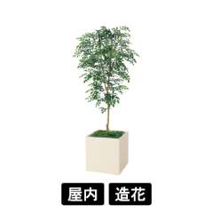 樹木プランター GR5107 H1700 トネリコ