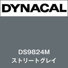 ダイナサイン DS9824M ストリートグレイ