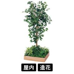 テーブル樹木 GR5126 H1500 530角 フィカスベンジャミン