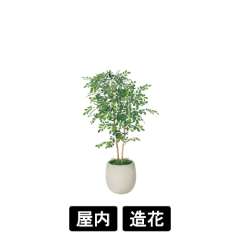 樹木プランター GR5100 H1200 トネリコ