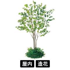 テーブル樹木 GR5142 H1900 530Ф ドウダン