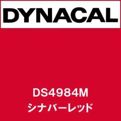 ダイナサイン DS4984M シナバーレッド