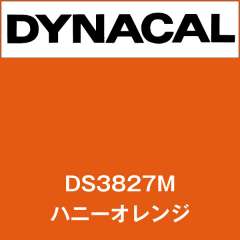 ダイナサイン　DS3827M　ハニーオレンジ