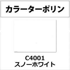 カラーターポリン APC400-F スノーホワイト APC4001