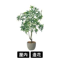 樹木プランター GR5093 H2100 パキラ