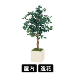 樹木プランター GR5013 H1400 フィカスベンジャミン