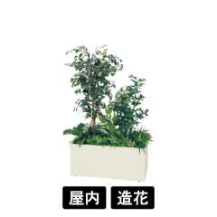 寄せ植えプランター GR5031 H1700 フィカスベンジャミン&シェフレラ