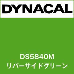 ダイナサイン DS5840M リバーサイドグリーン