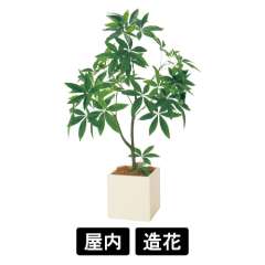 樹木プランター GR5111 H1350 パキラ