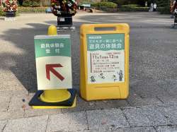 サインボックス 白無地