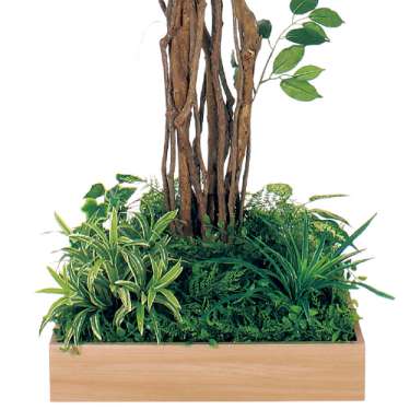 テーブル樹木 GR5127 H1800 530角 フィカスベンジャミン(GR5127)_2