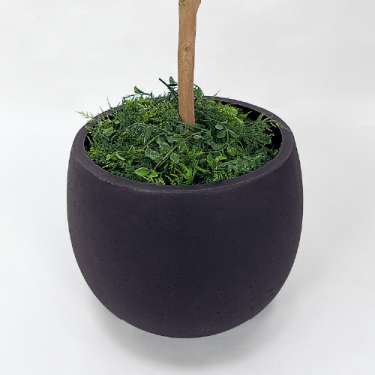 樹木プランター GR5072 H1700 トネリコ(GR5072)_3