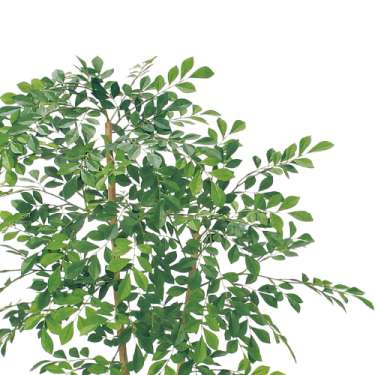 樹木プランター GR5100 H1200 トネリコ(GR5100)_2