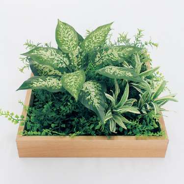 連接樹木 GR5040 H200 330角 (GR5040)_2