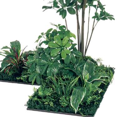 連接樹木 GM5714 H1800 450角3連 シェフレラ(GM5714)_2