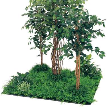 連接樹木 GM5712 H1800 450角9連 フィカスベンジャミン(GM5712)_2