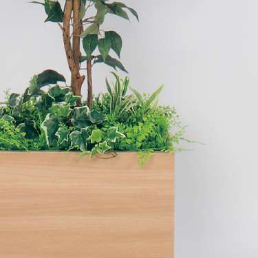 樹木プランター GR5008 H1700 フィカスベンジャミン(GR5008)_3