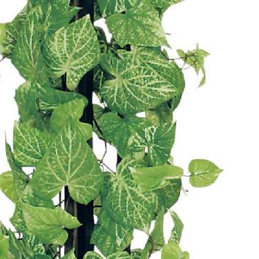 樹木プランター GR5018 H1500 ポトス(GR5018)_2