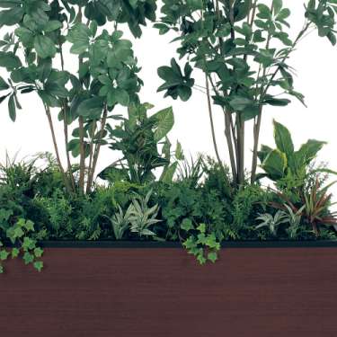 寄せ植えプランター GR5039 H2050 シェフレラ(GR5039)_2