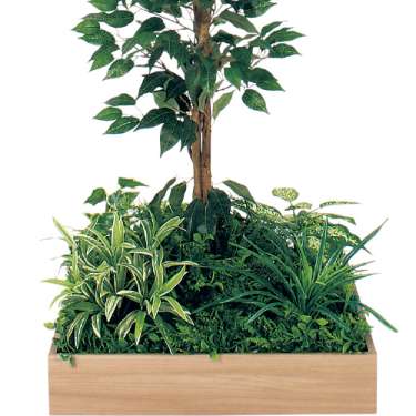 テーブル樹木 GR5126 H1500 530角 フィカスベンジャミン(GR5126)_2