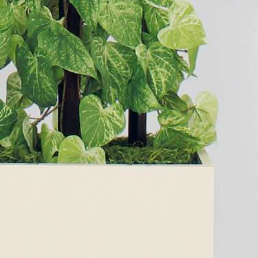 樹木パーテーション GR5114 H1500 ポトス(GR5114)_2