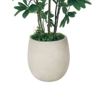 樹木プランター GR5103 H1500 シェフレラ(GR5103)_3