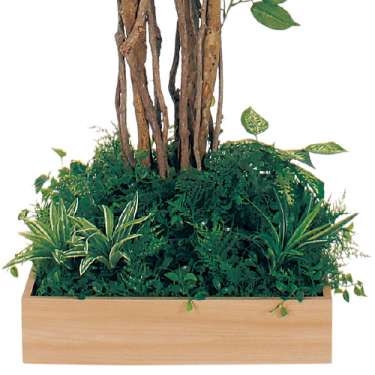 テーブル樹木 GR5123 H1800 450角 フィカスベンジャミン(GR5123)_2