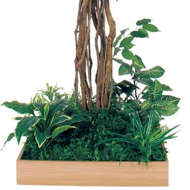 テーブル樹木 GR5131 H1800 600角 フィカスベンジャミン(GR5131)_2