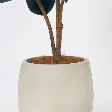 樹木プランター GR5101 H1250 ゴムの木(GR5101)_3