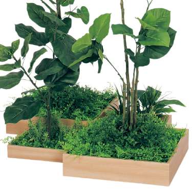 連接樹木 GM5700 H1800 4連 ウンベラータ(GM5700)_2