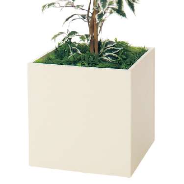 樹木プランター GR5106 H1550 ハワイアンベンジャミン(GR5106)_3