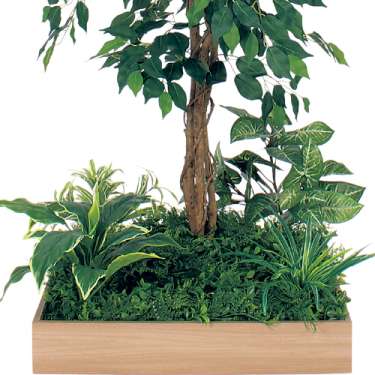 テーブル樹木 GR5129 H1200 600角 フィカスベンジャミン(GR5129)_2