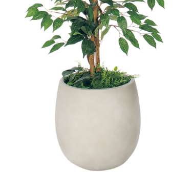 樹木プランター GR5102 H1500 フィカスベンジャミン(GR5102)_3