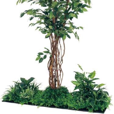 連接樹木 GM5708 H1800 450角3連 フィカスベンジャミン(GM5708)_2