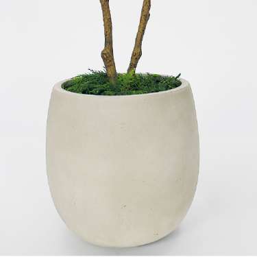 樹木プランター GR5105 H1600 アーモンドツリー(GR5105)_3