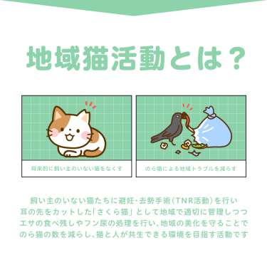 プレート看板 「猫のエサやり」 W900×H600mm 角R 穴5φ6カ所_5