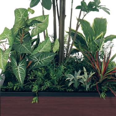 寄せ植えプランター GR5036 H2050 シェフレラ(GR5036)_2