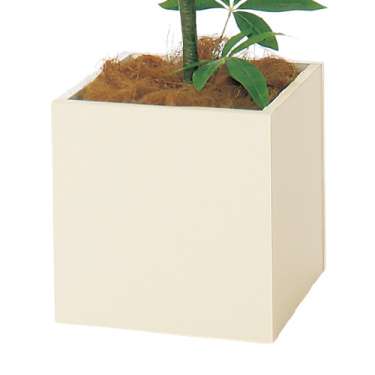 樹木プランター GR5111 H1350 パキラ(GR5111)_3