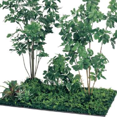 連接樹木 GM5716 H1800 450角6連 シェフレラ(GM5716)_2