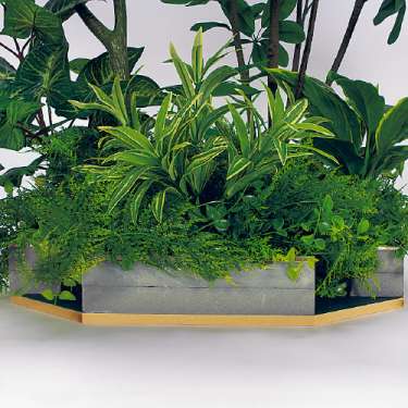 テーブル樹木 GR5140 H1500 530Ф フィカスベンジャミン(GR5140)_4