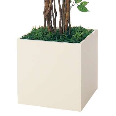 樹木プランター GR5108 H1900 フィカスベンジャミン(GR5108)_3