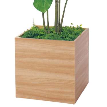 樹木プランター GR5109 H1600 ウンベラータ(GR5109)_3