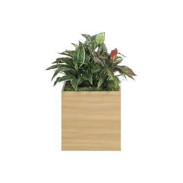 スタッキングプランター GR2549(GR2549)_2