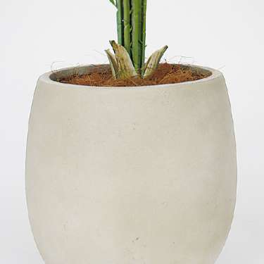 樹木プランター GR5104 H1550 アレカヤシ(GR5104)_3