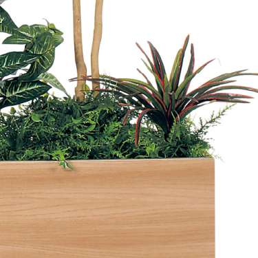 樹木パーテーション GR5119 H1750 パキラ&トネリコ(GR5119)_2