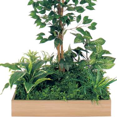 テーブル樹木 GR5130 H1500 600角 フィカスベンジャミン(GR5130)_2